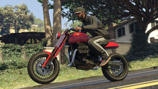 Pegassi FCR 1000 Custom Pegassi FCR 1000 Custom